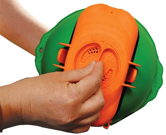 Flippin Frog XL Floating Pool Sanitizing System